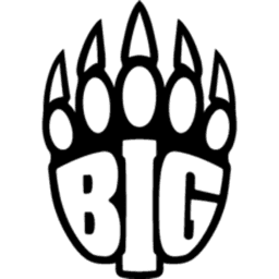 BIG logo